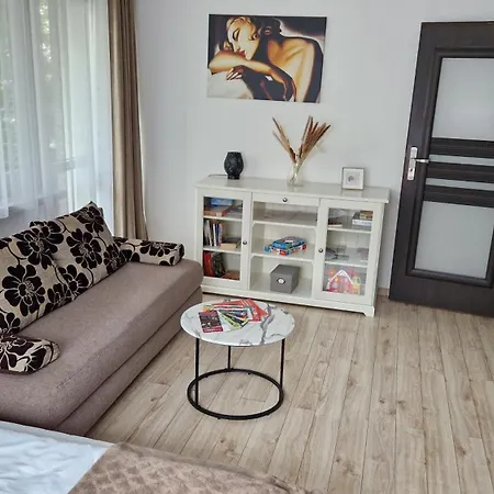 Apartment Rynek 40m2 Stare
